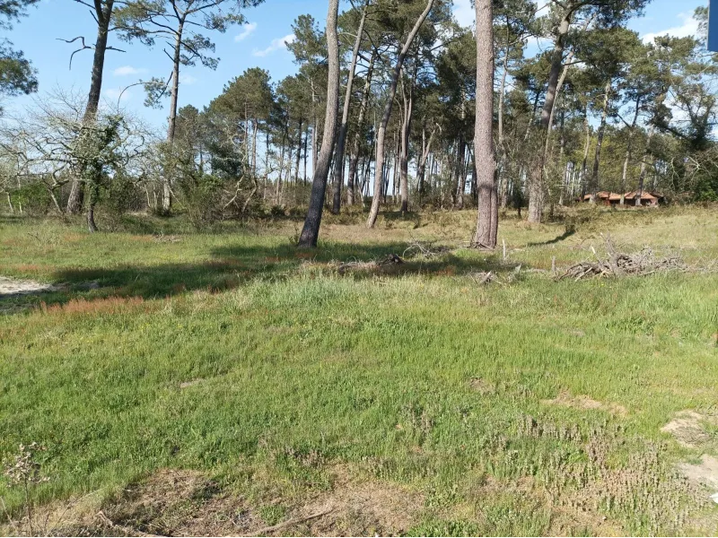 Terrain à bâtir à Biscarrosse