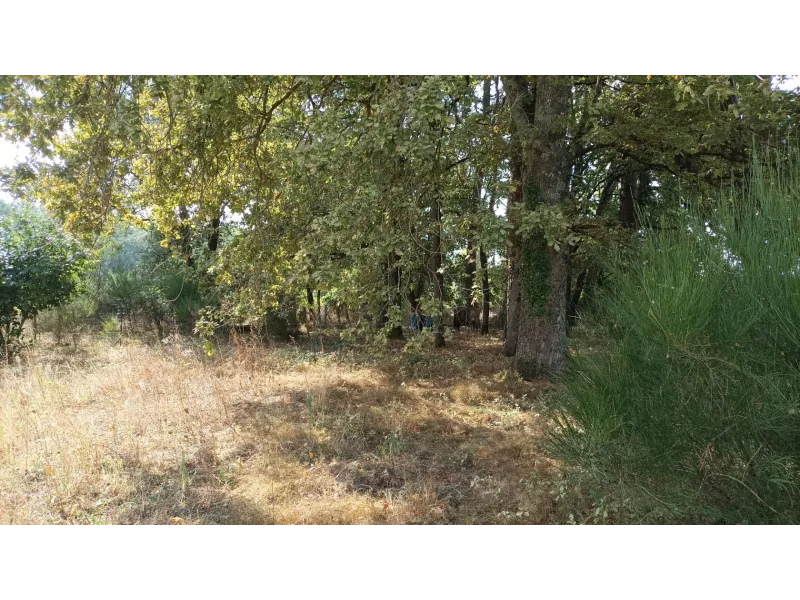 Terrain à bâtir à Saint-Selve