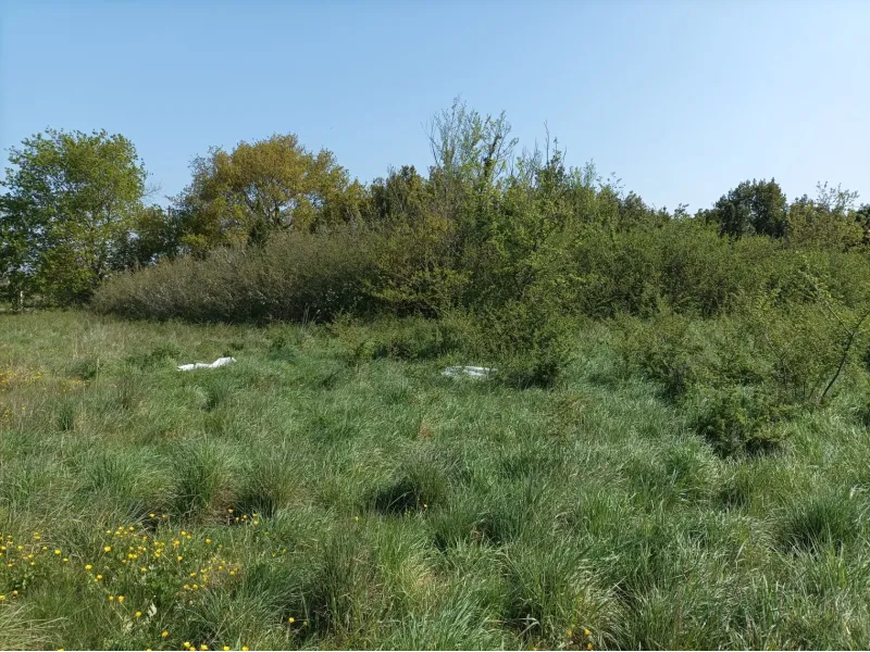 Terrain à bâtir à Cestas