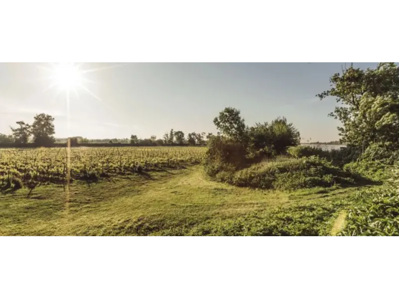 Terrain à bâtir à Saint-Laurent-Médoc