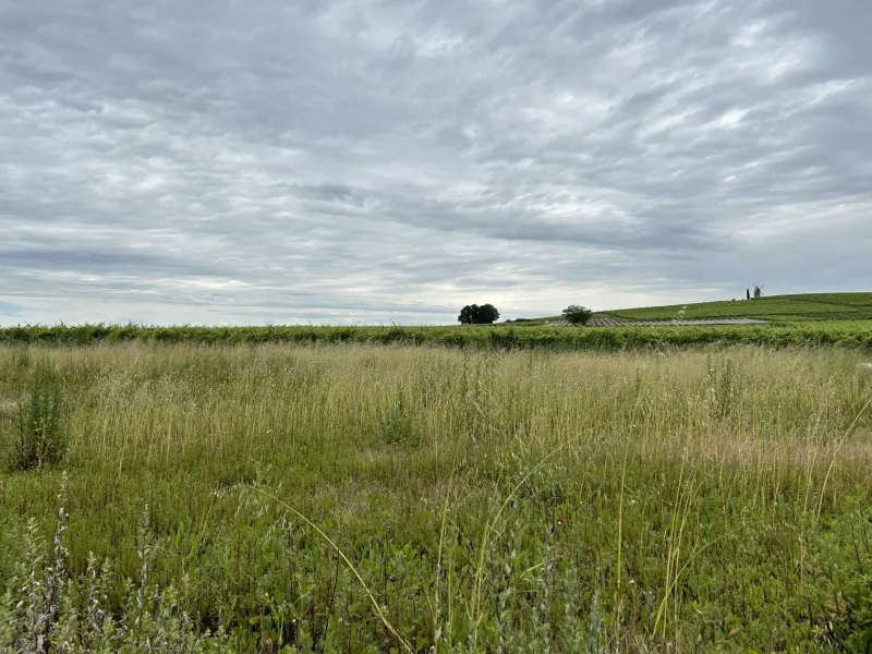 Terrain à bâtir à Sainte-Lheurine