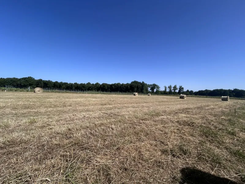 Terrain à bâtir à Chérac