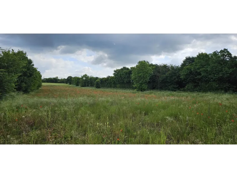 Terrain à bâtir à Gond-Pontouvre