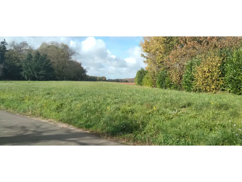 Terrain à bâtir à Saint-Sornin