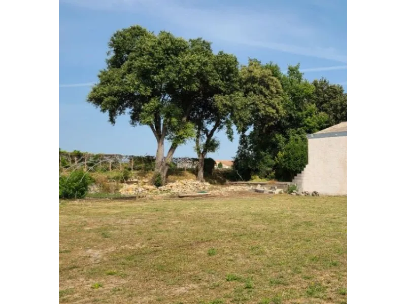 Terrain à bâtir à Saint-Sulpice-d'Arnoult