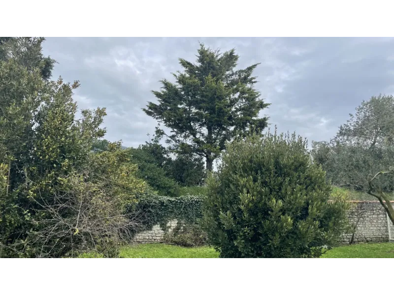 Terrain à bâtir à La Rochelle