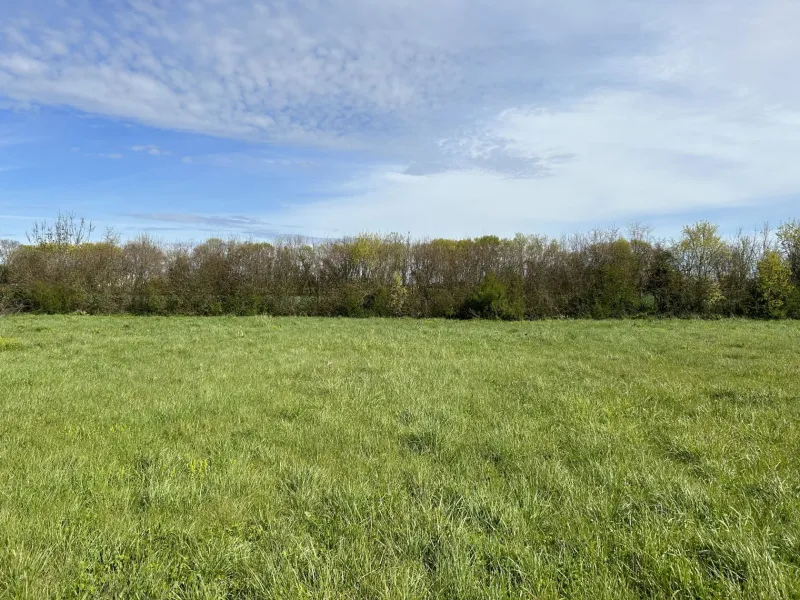 Terrain à bâtir à Saint-Laurent-de-la-Prée