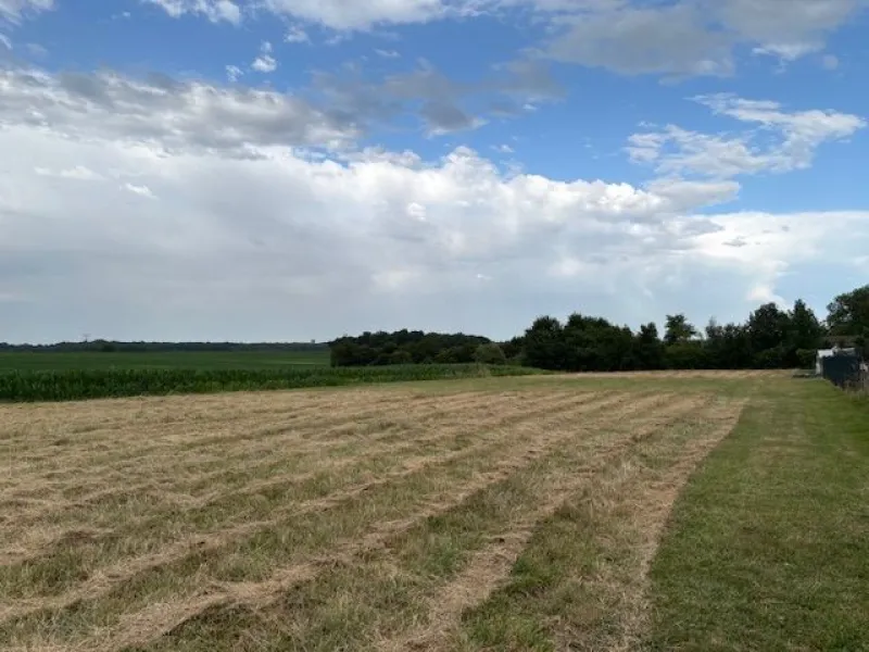 Terrain à bâtir à Villars-en-Pons