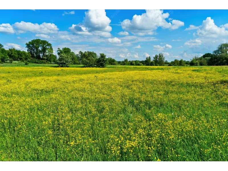 Terrain à bâtir à Châteaubourg