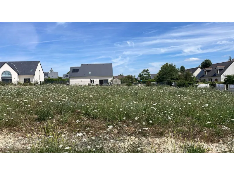 Terrain à bâtir à Fondettes