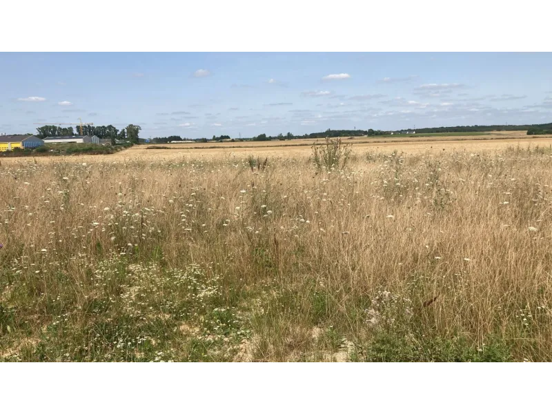 Terrain à bâtir à Parçay-Meslay