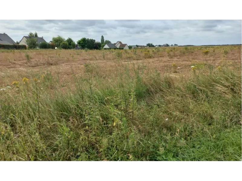 Terrain à bâtir à Saint-Laurent-en-Gâtines