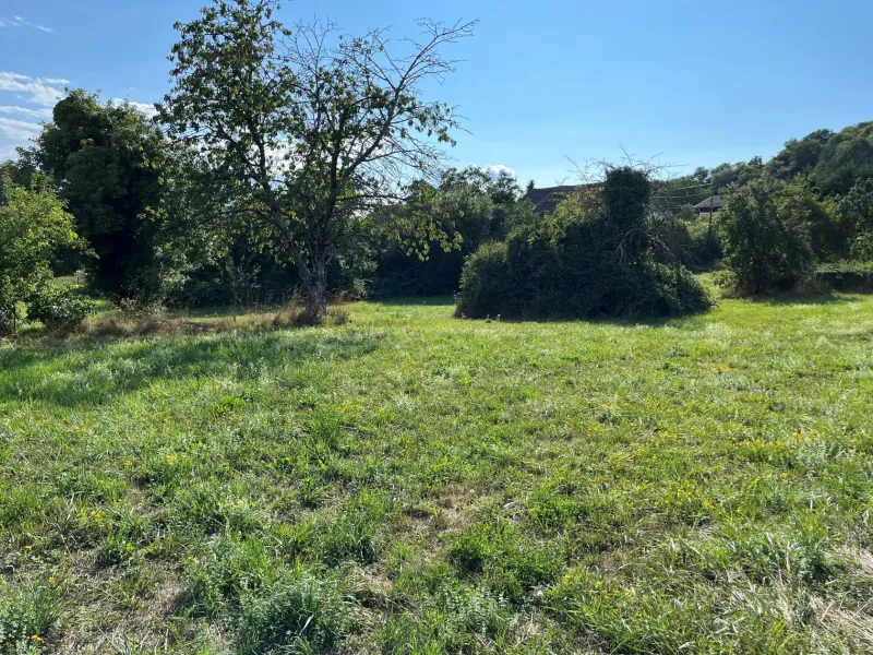 Terrain à bâtir à Traubach-le-Haut