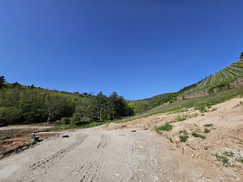 Terrain à bâtir à Katzenthal