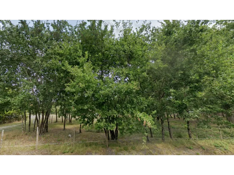 Terrain à bâtir à Gujan-Mestras