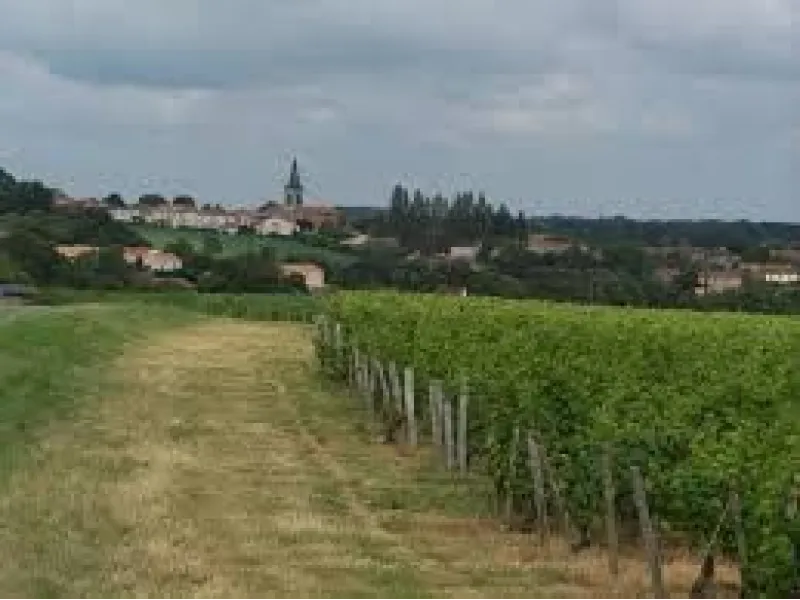 Terrain à bâtir à Pissotte