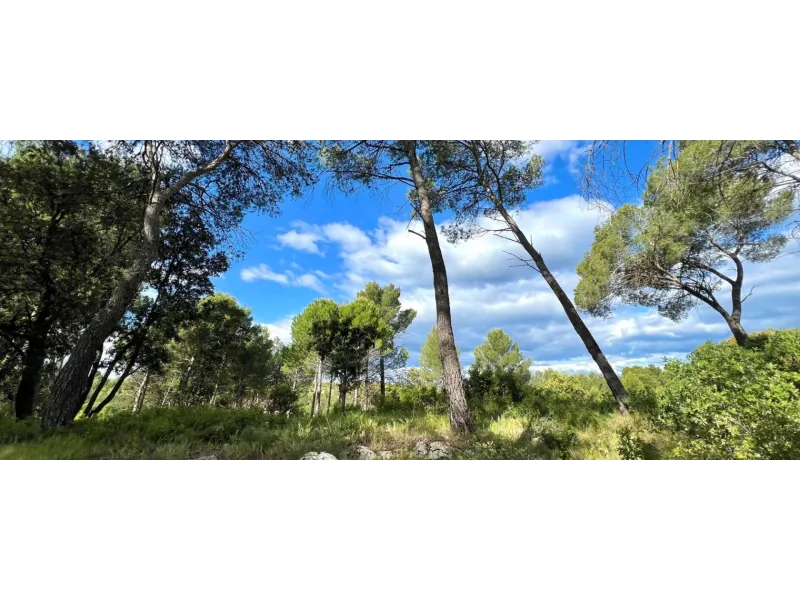 Terrain à bâtir à Guzargues