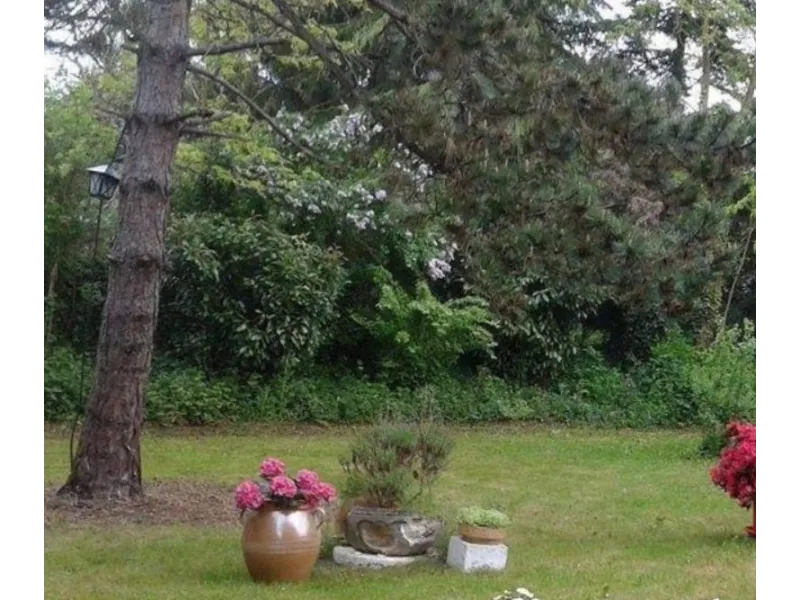 Terrain à bâtir à Torcy