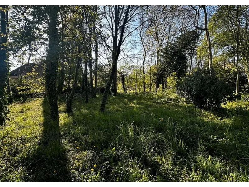 Terrain à bâtir à Lagny-sur-Marne