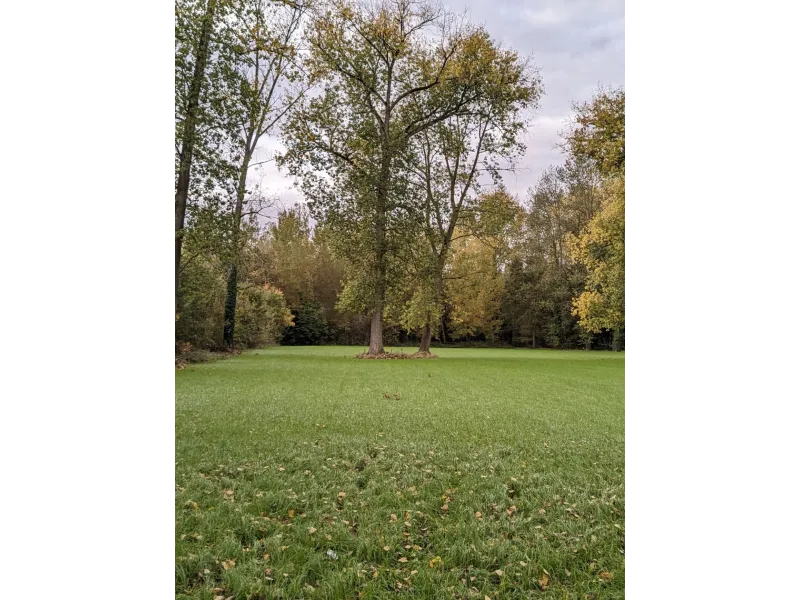 Terrain à bâtir à Richarville