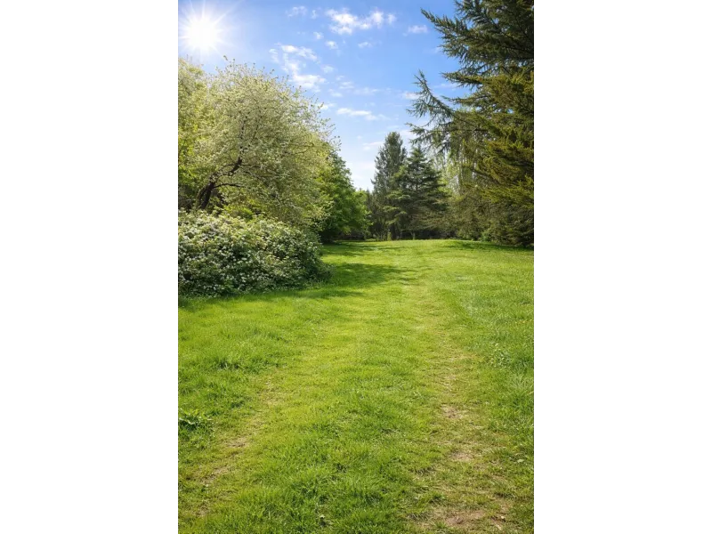 Terrain à bâtir à Boissise-le-Roi