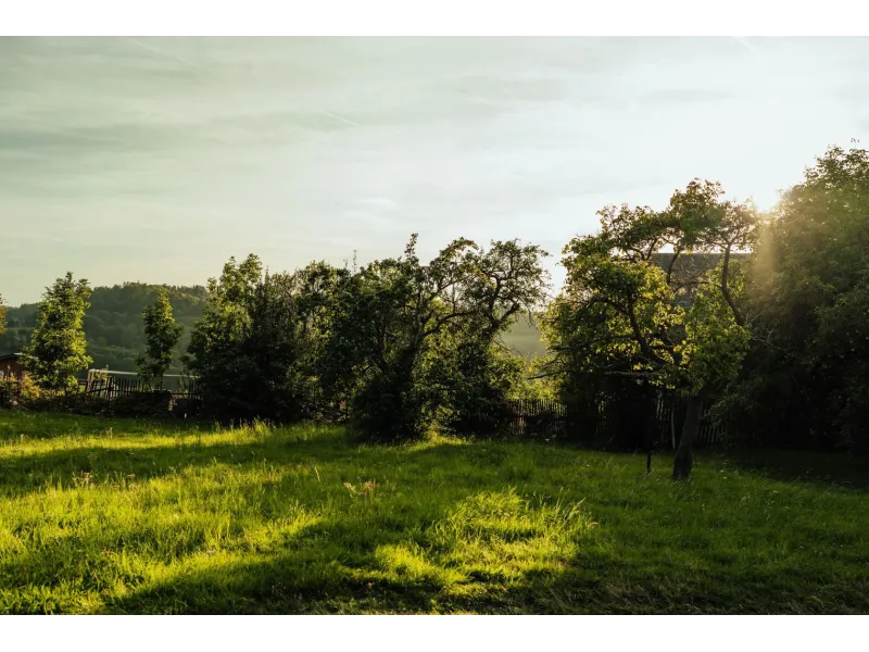 Terrain à bâtir à Boissy-sous-Saint-Yon