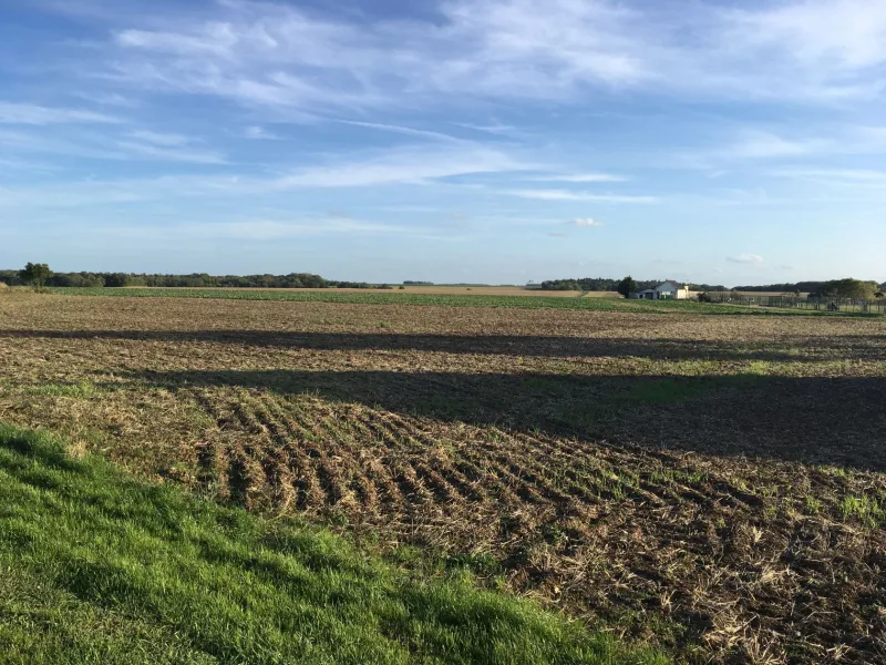 Terrain à bâtir à Étampes