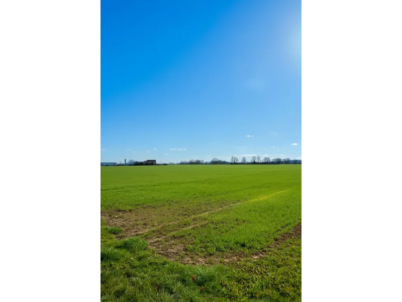 Terrain à bâtir à Villiers-en-Bière