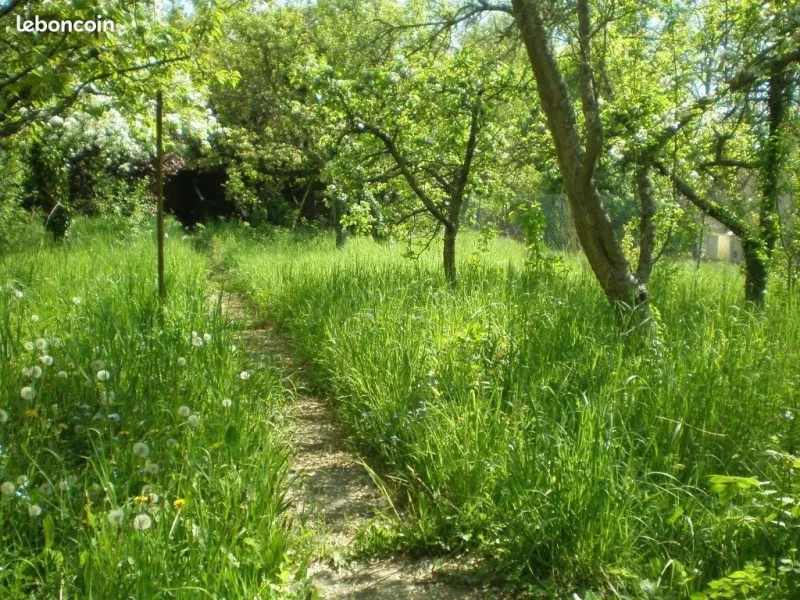 Terrain à bâtir à Saintry-sur-Seine