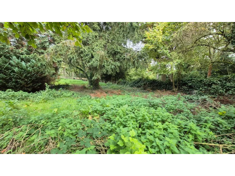 Terrain à bâtir à Palaiseau