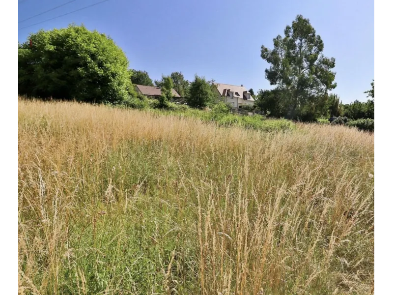 Terrain à bâtir à Chamarande