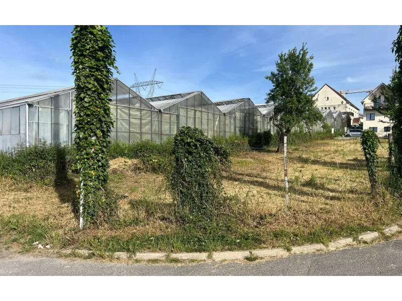 Terrain à bâtir à Ollainville