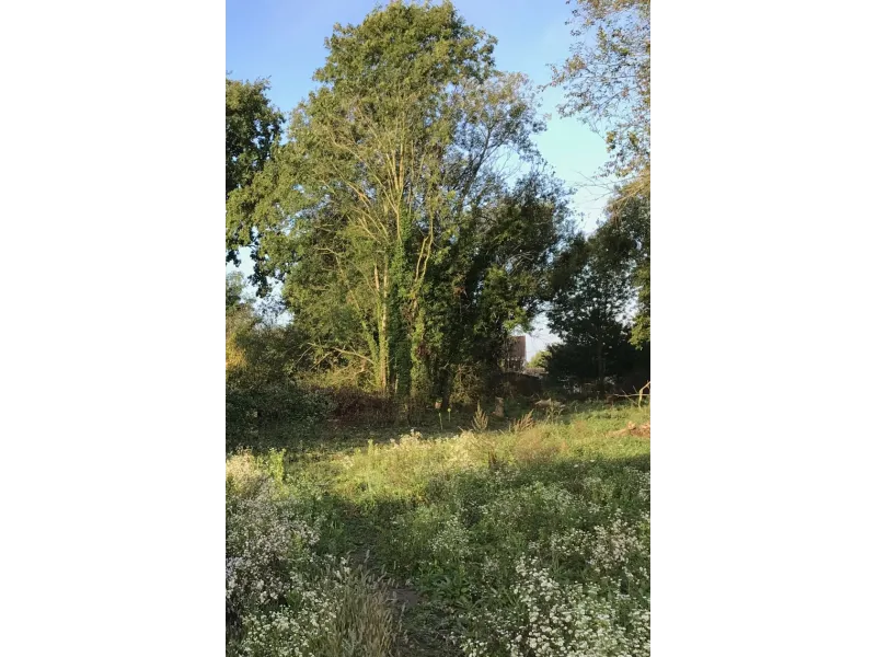 Terrain à bâtir à Rosny-sous-Bois