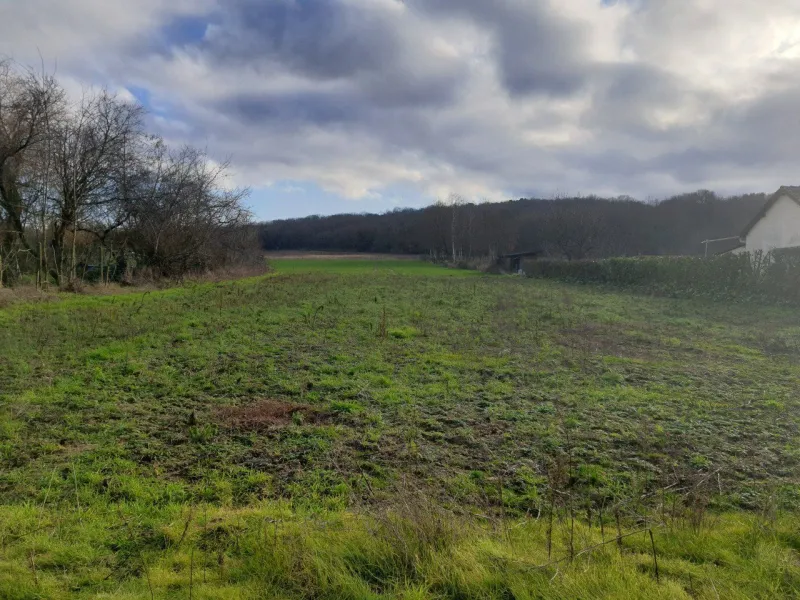 Terrain à bâtir à Vayres-sur-Essonne