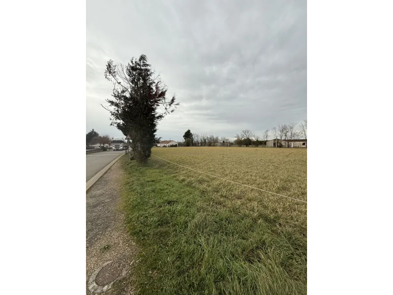 Terrain à bâtir à Marigny