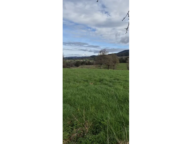 Terrain à bâtir à Augerolles