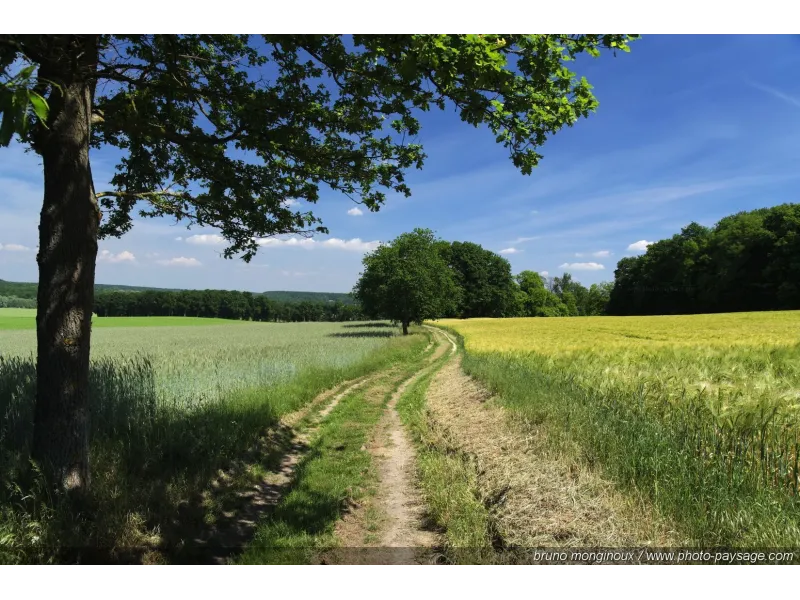 Terrain à bâtir à Ahuillé