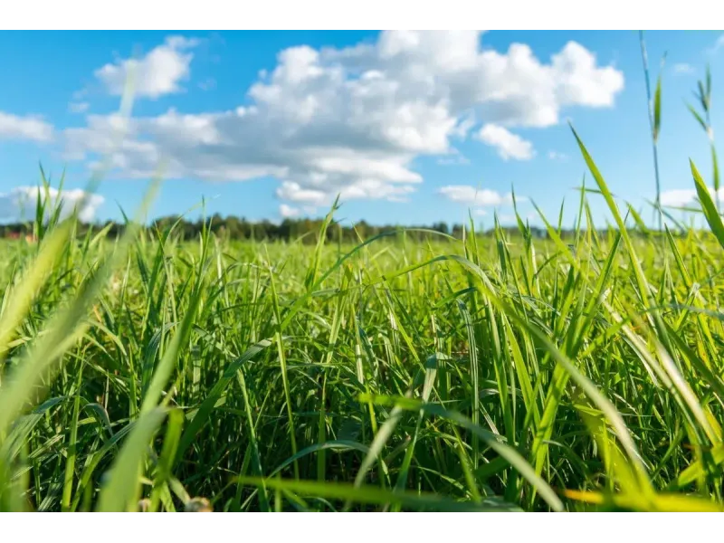 Terrain à bâtir à Fréhel