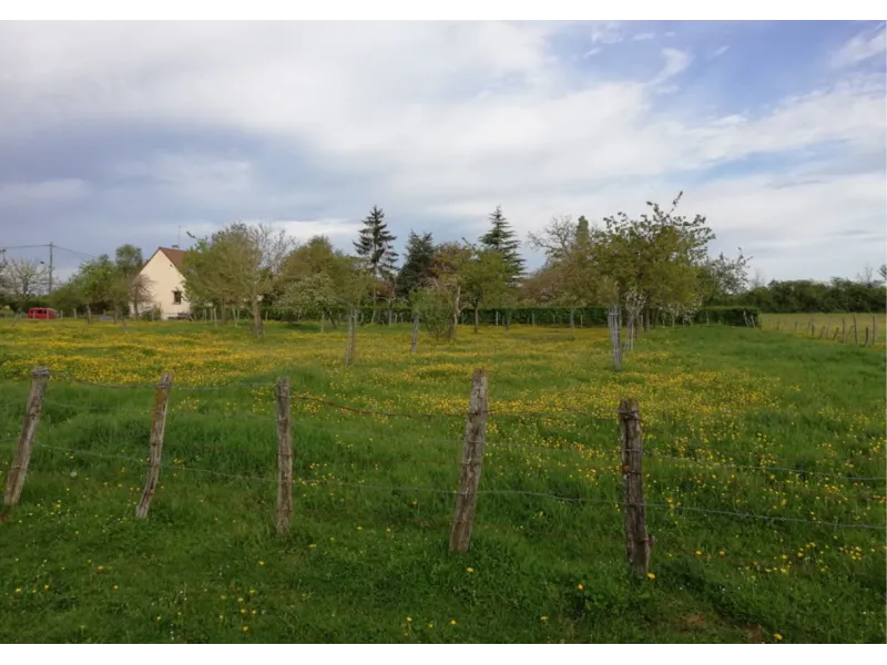 Terrain à bâtir à Saint-Paterne