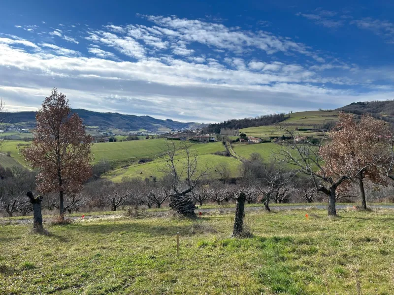 Terrain à bâtir à Saint-Romain-en-Jarez