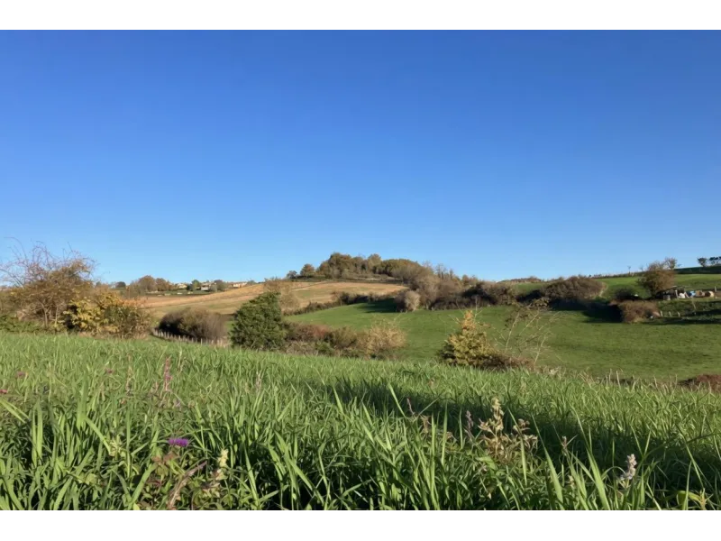 Terrain à bâtir à Lozanne