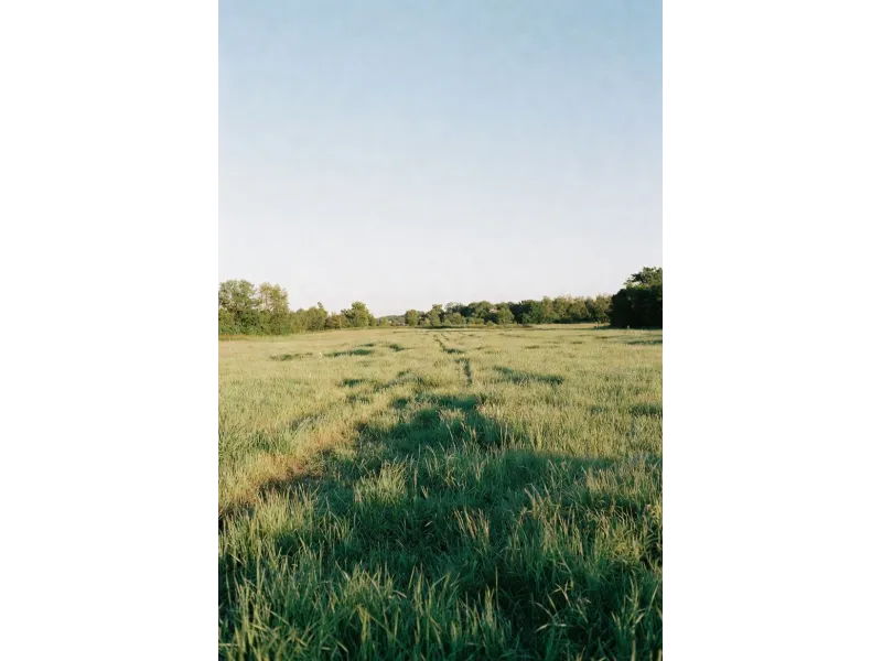 Terrain à bâtir à Replonges
