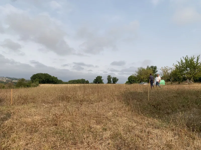 Terrain à bâtir à Boisse