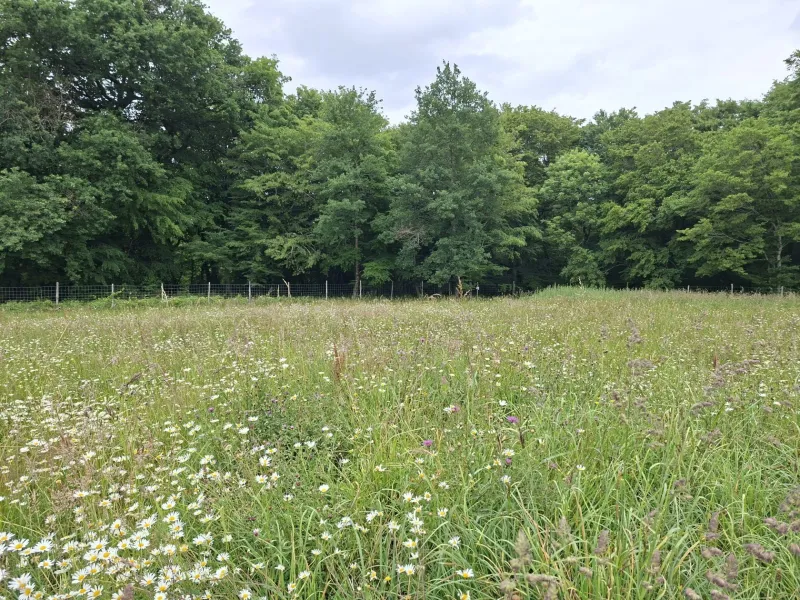 Terrain à bâtir à La Lande-de-Fronsac