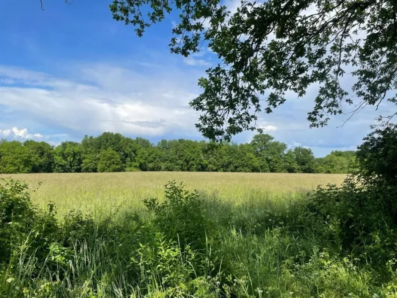 Terrain à bâtir à Prignac-et-Marcamps