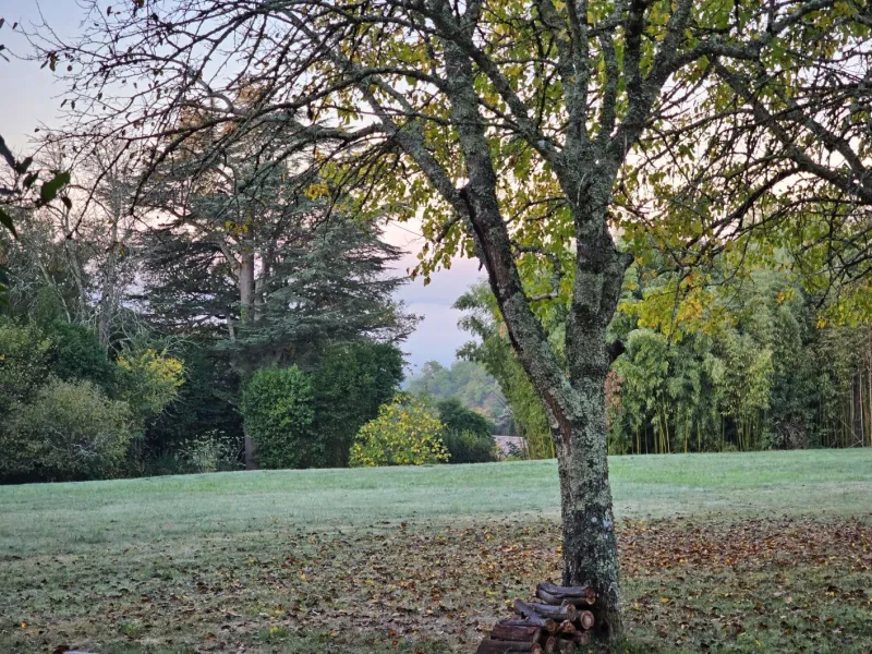 Terrain à bâtir à Montussan