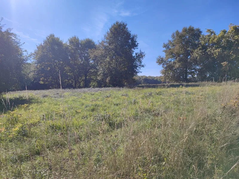 Terrain à bâtir à Tabanac