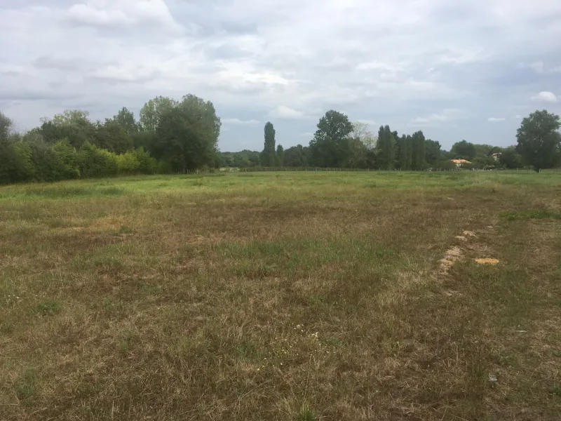 Terrain à bâtir à Cavignac