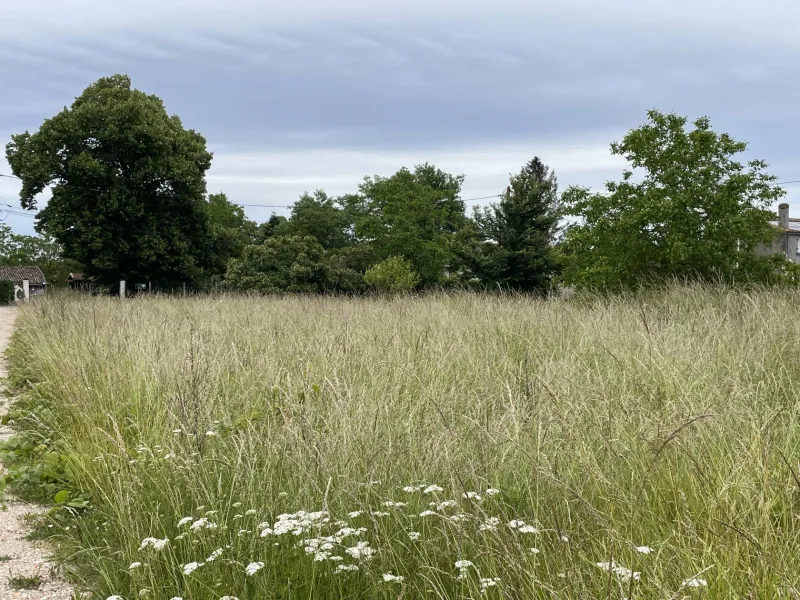 Terrain à bâtir à Castelnau-de-Médoc