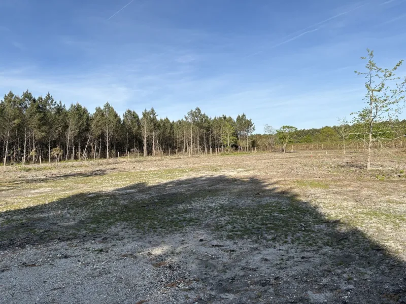 Terrain à bâtir à Hourtin